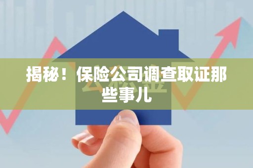 安远揭秘！保险公司调查取证那些事儿