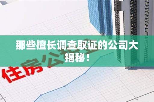 安远那些擅长调查取证的公司大揭秘！