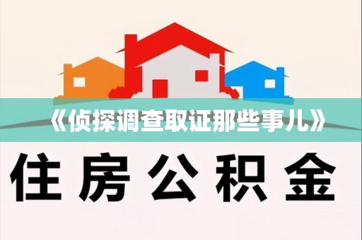 安远《侦探调查取证那些事儿》
