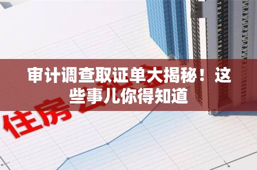安远审计调查取证单大揭秘！这些事儿你得知道