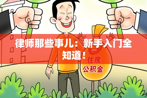 安远律师那些事儿：新手入门全知道！