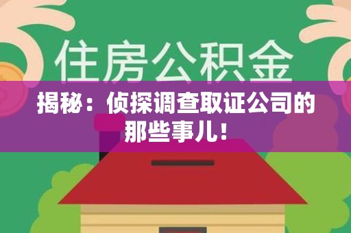 安远揭秘：侦探调查取证公司的那些事儿！