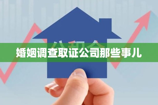 安远婚姻调查取证公司那些事儿