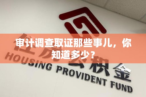 安远审计调查取证那些事儿，你知道多少？