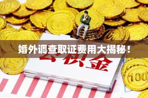 安远婚外调查取证费用大揭秘！