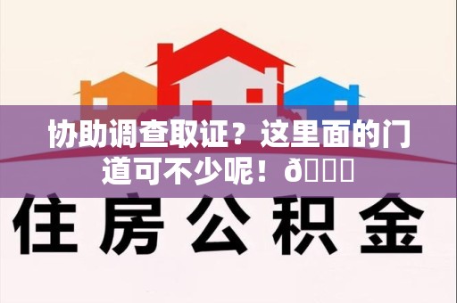 安远协助调查取证？这里面的门道可不少呢！😎