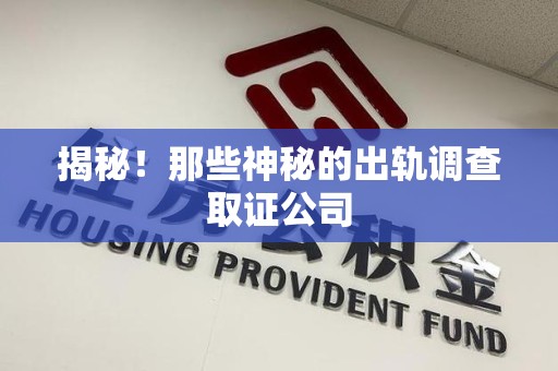 安远揭秘！那些神秘的出轨调查取证公司
