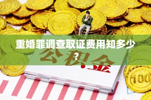 安远重婚罪调查取证费用知多少？