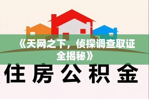 安远《天网之下，侦探调查取证全揭秘》