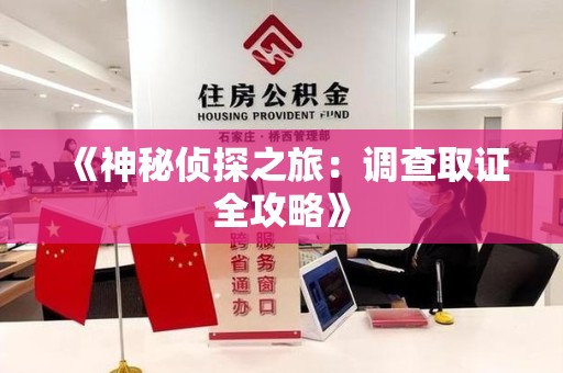 安远《神秘侦探之旅：调查取证全攻略》