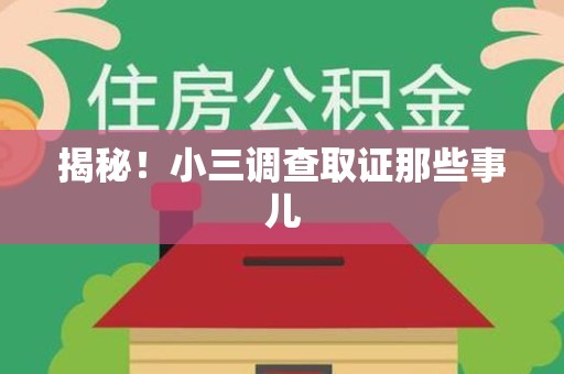 安远揭秘！小三调查取证那些事儿