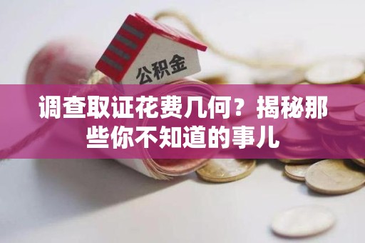 安远调查取证花费几何？揭秘那些你不知道的事儿