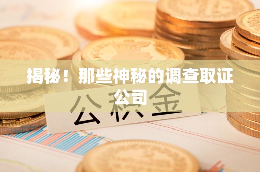 安远揭秘！那些神秘的调查取证公司