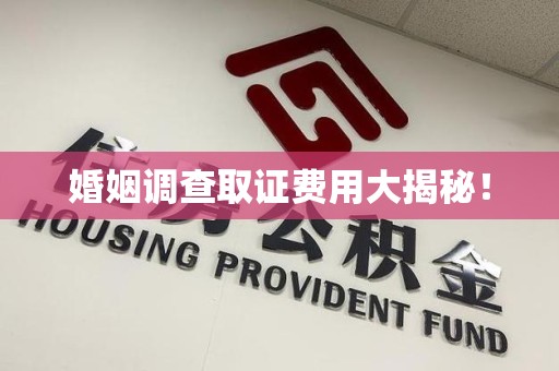 安远婚姻调查取证费用大揭秘！
