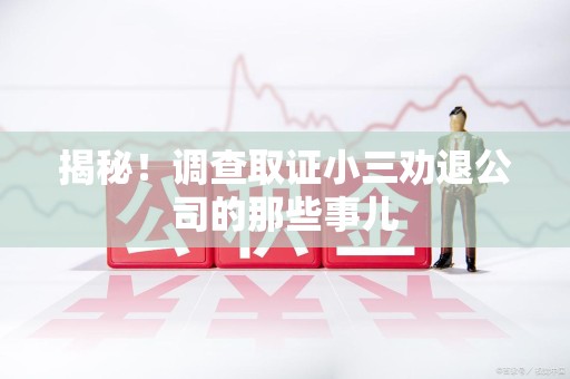 安远揭秘！调查取证小三劝退公司的那些事儿