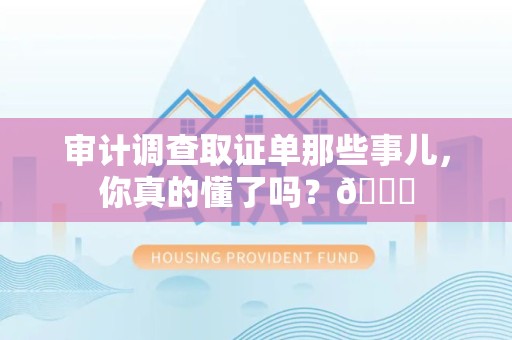 安远审计调查取证单那些事儿，你真的懂了吗？😎