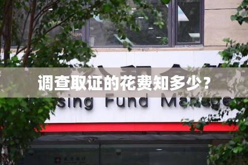 安远调查取证的花费知多少？